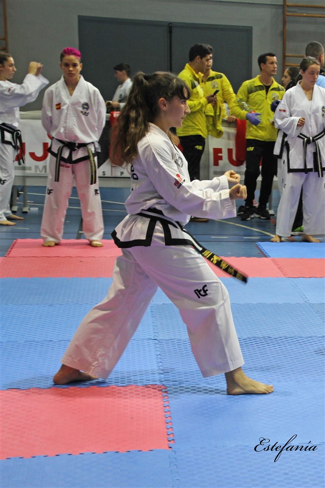 Copa Seul 2018 (557).jpg